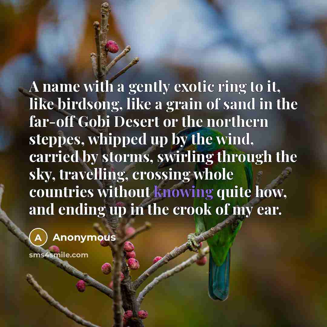 “A name with a gently exotic ring to it, like birdsong, like a grain of sand in the far-off Gobi Desert or the northern steppes, whipped up by the wind, carried by storms, swirling through the sky, travelling, crossing whole countries without knowing quite how, and ending up in the crook of my ear.” quote by Anonymous