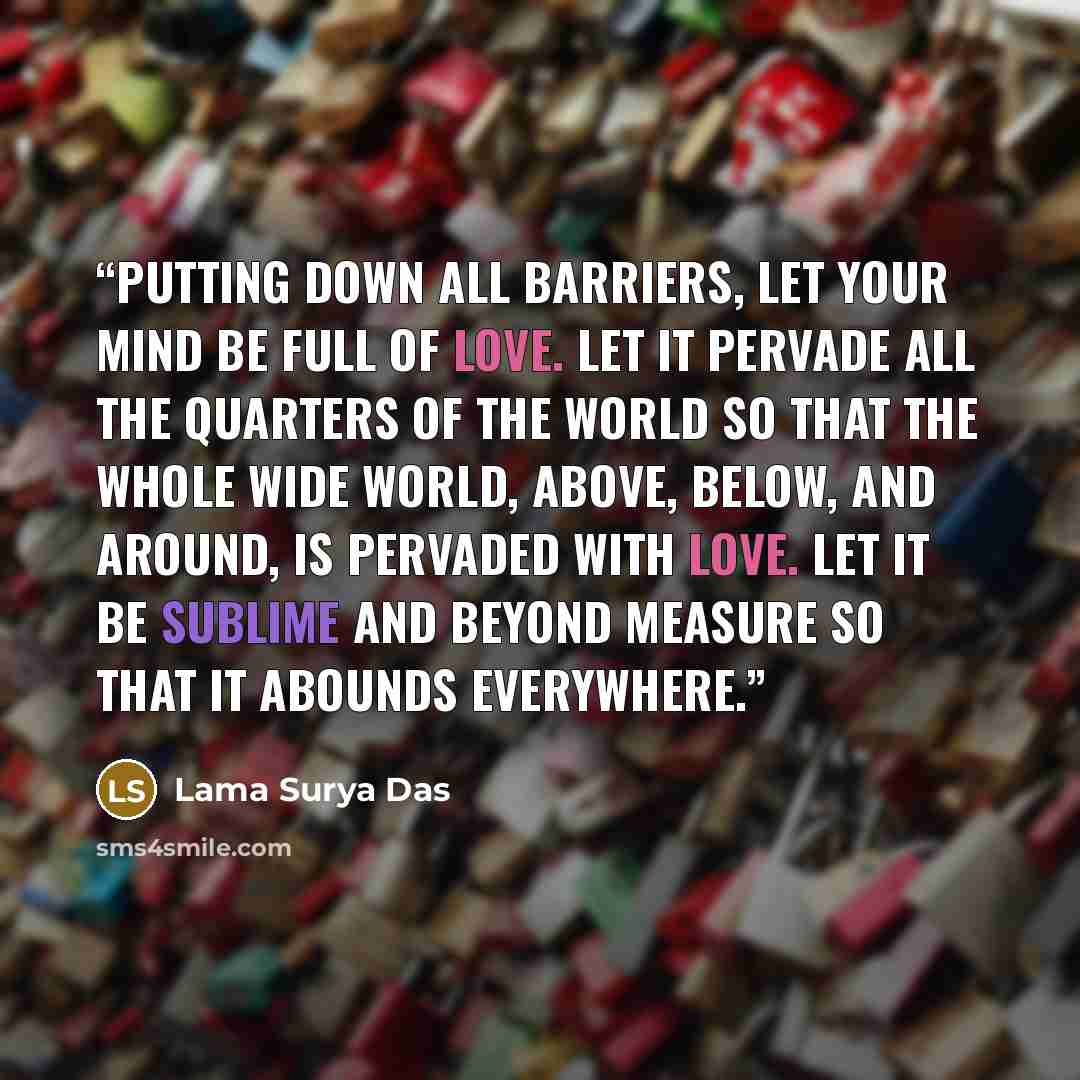“Putting down all barriers, let your mind be full of love. Let it pervade all the quarters of the world so that the whole wide world, above, below, and around, is pervaded with love. Let it be sublime and beyond measure so that it abounds everywhere.” quote by Lama Surya Das