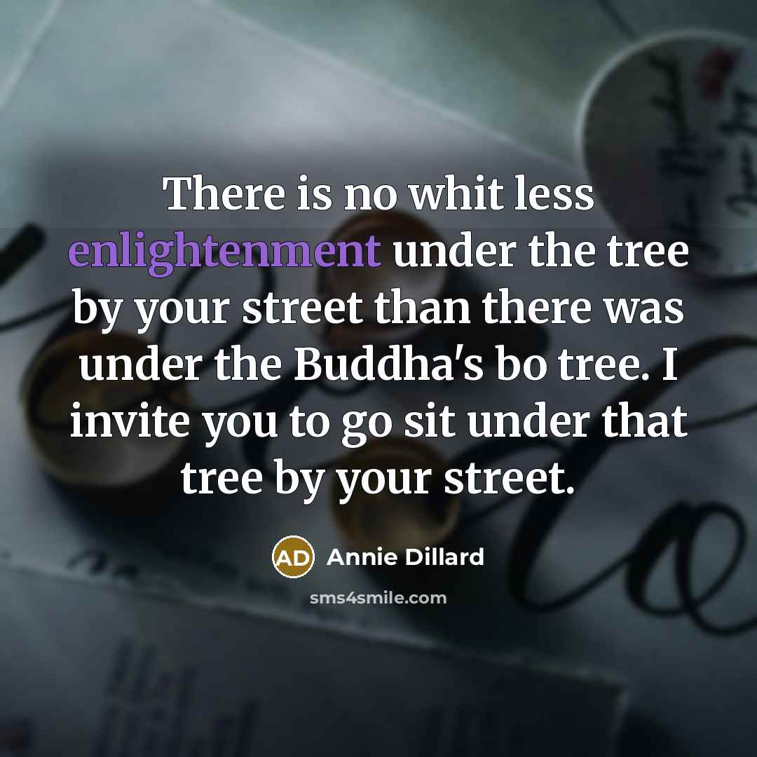 “There is no whit less enlightenment under the tree by your street than there was under the Buddha's bo tree. I invite you to go sit under that tree by your street.” quote by Annie Dillard