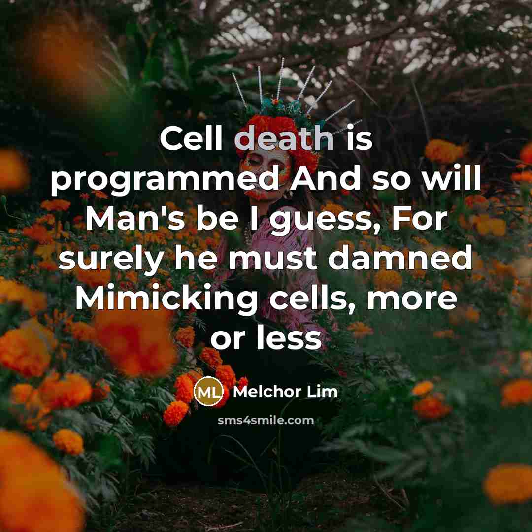 “Cell death is programmed And so will Man's be I guess, For surely he must damned Mimicking cells, more or less” quote by Melchor Lim