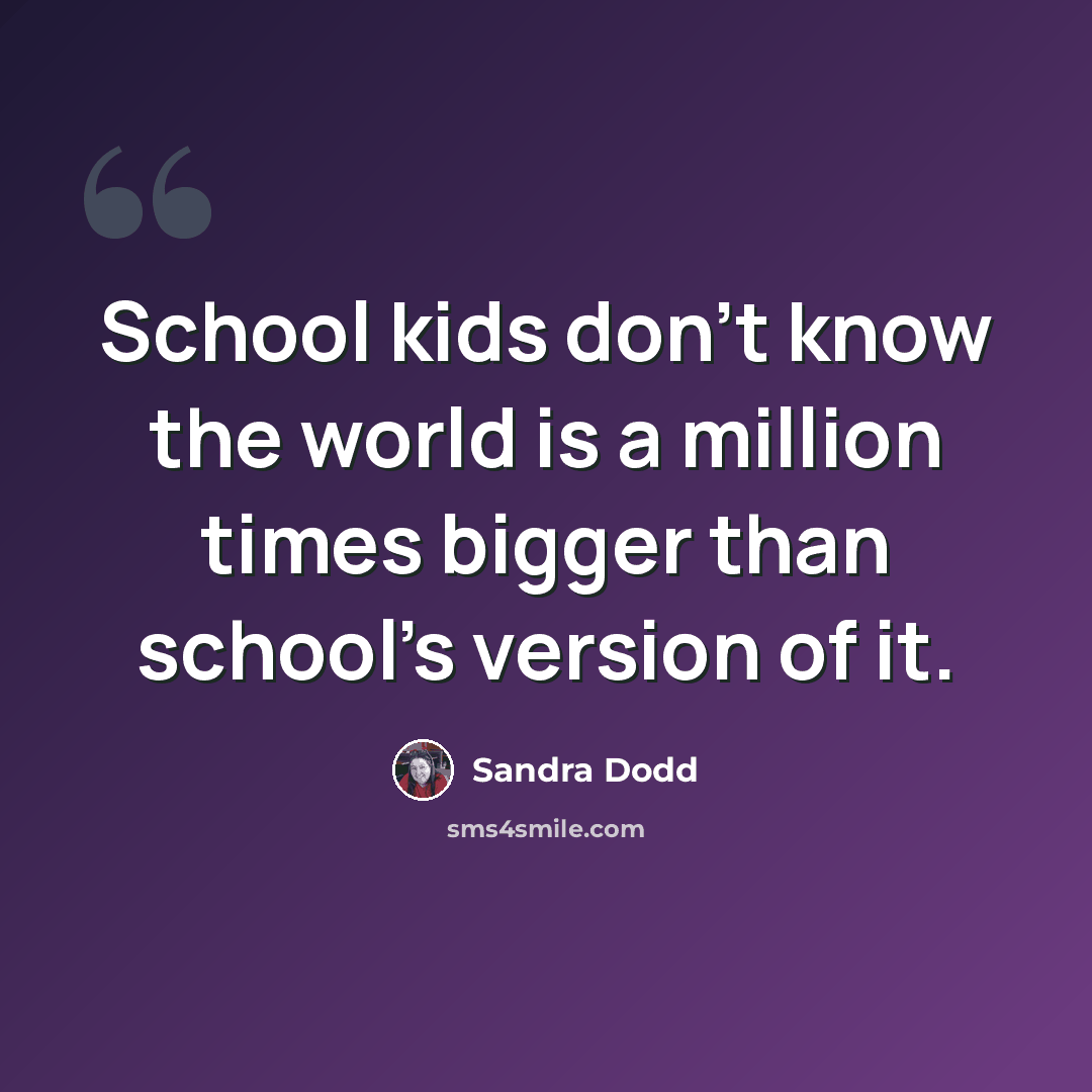 “School kids don't know the world is a million times bigger than school's version of it.” quote by Sandra Dodd