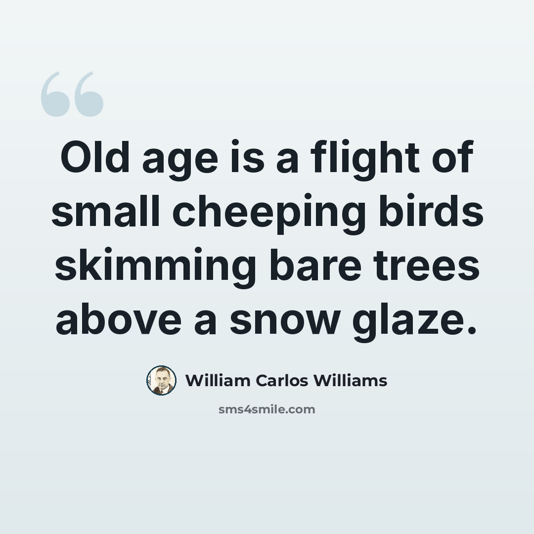 “Old age is a flight of small cheeping birds skimming bare trees above a snow glaze.” quote by William Carlos Williams