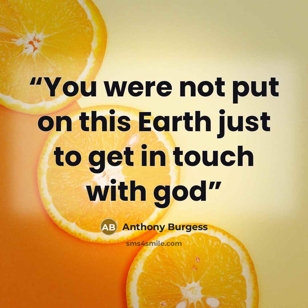 “You were not put on this Earth just to get in touch with god” quote by Anthony Burgess