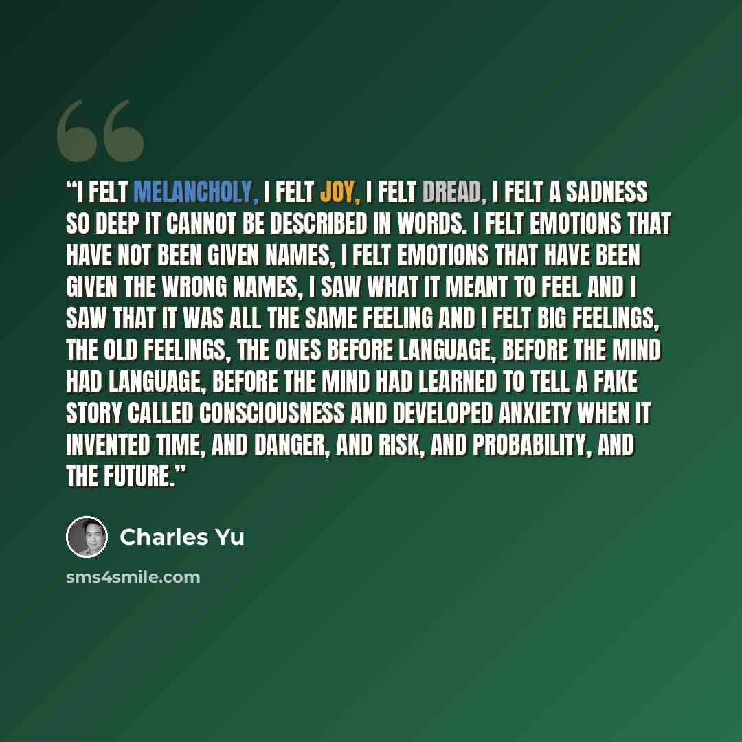 “I felt melancholy, I felt joy, I felt dread, I felt a sadness so deep it cannot be described in words. I felt emotions that have not been given names, I felt emotions that have been given the wrong names, I saw what it meant to feel and I saw that it was all the same feeling and I felt big…” quote by Charles Yu