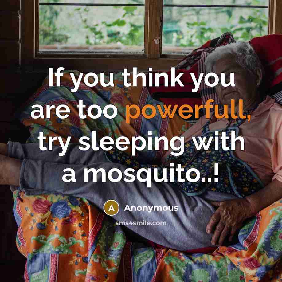 “If you think you are too powerfull, try sleeping with a mosquito..!” quote by Anonymous