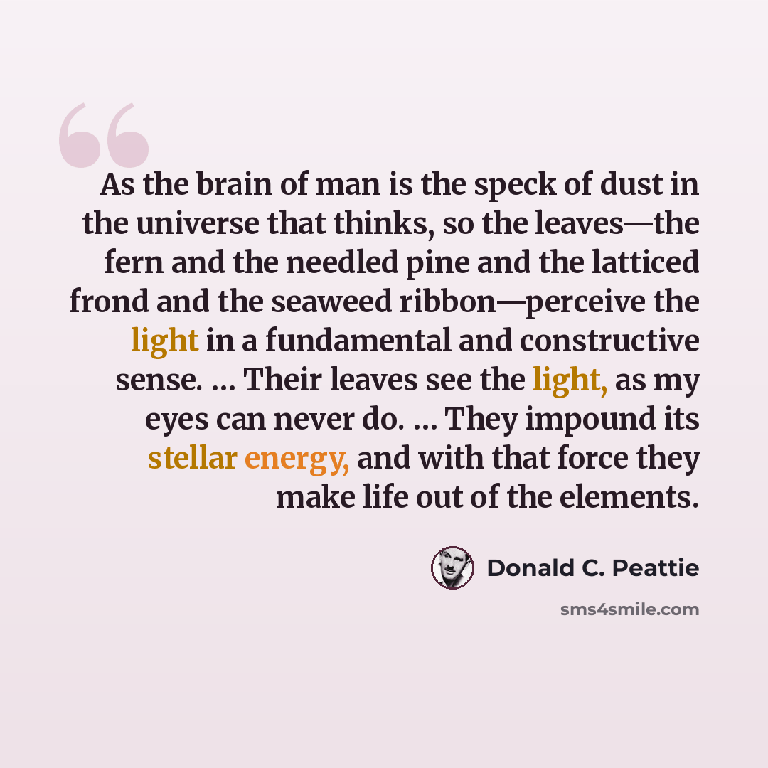 “As the brain of man is the speck of dust in the universe that thinks, so the leaves—the fern and the needled pine and the latticed frond and the seaweed ribbon—perceive the light in a fundamental and constructive sense. … Their leaves see the light, as my eyes can never do. … They impound its…” quote by Donald C. Peattie