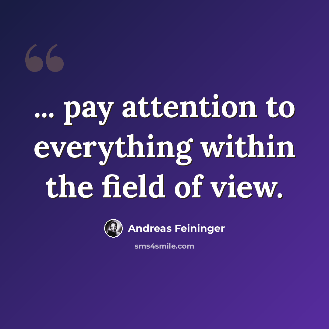 “... pay attention to everything within the field of view.” quote by Andreas Feininger