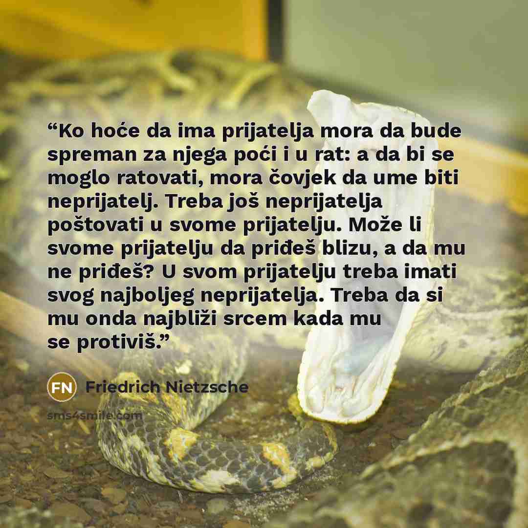 “Ko hoće da ima prijatelja mora da bude spreman za njega poći i u rat: a da bi se moglo ratovati, mora čovjek da ume biti neprijatelj. Treba još neprijatelja poštovati u svome prijatelju. Može li svome prijatelju da priđeš blizu, a da mu ne priđeš? U svom prijatelju treba imati svog najboljeg…” quote by Friedrich Nietzsche