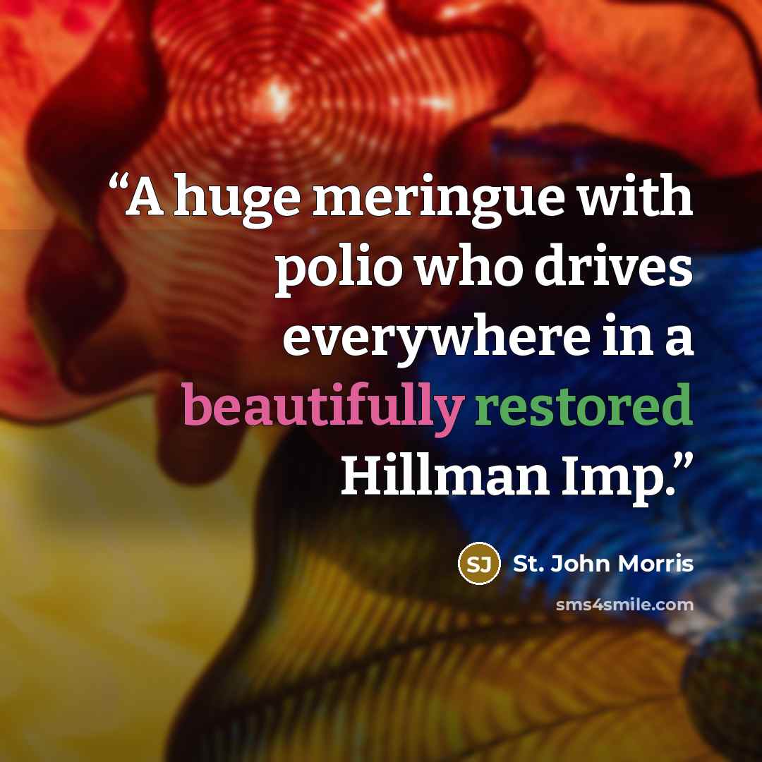 “A huge meringue with polio who drives everywhere in a beautifully restored Hillman Imp.” quote by St. John Morris