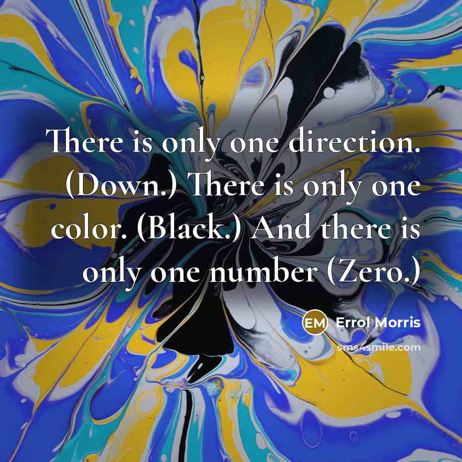 “There is only one direction. (Down.) There is only one color. (Black.) And there is only one number (Zero.)” quote by Errol Morris