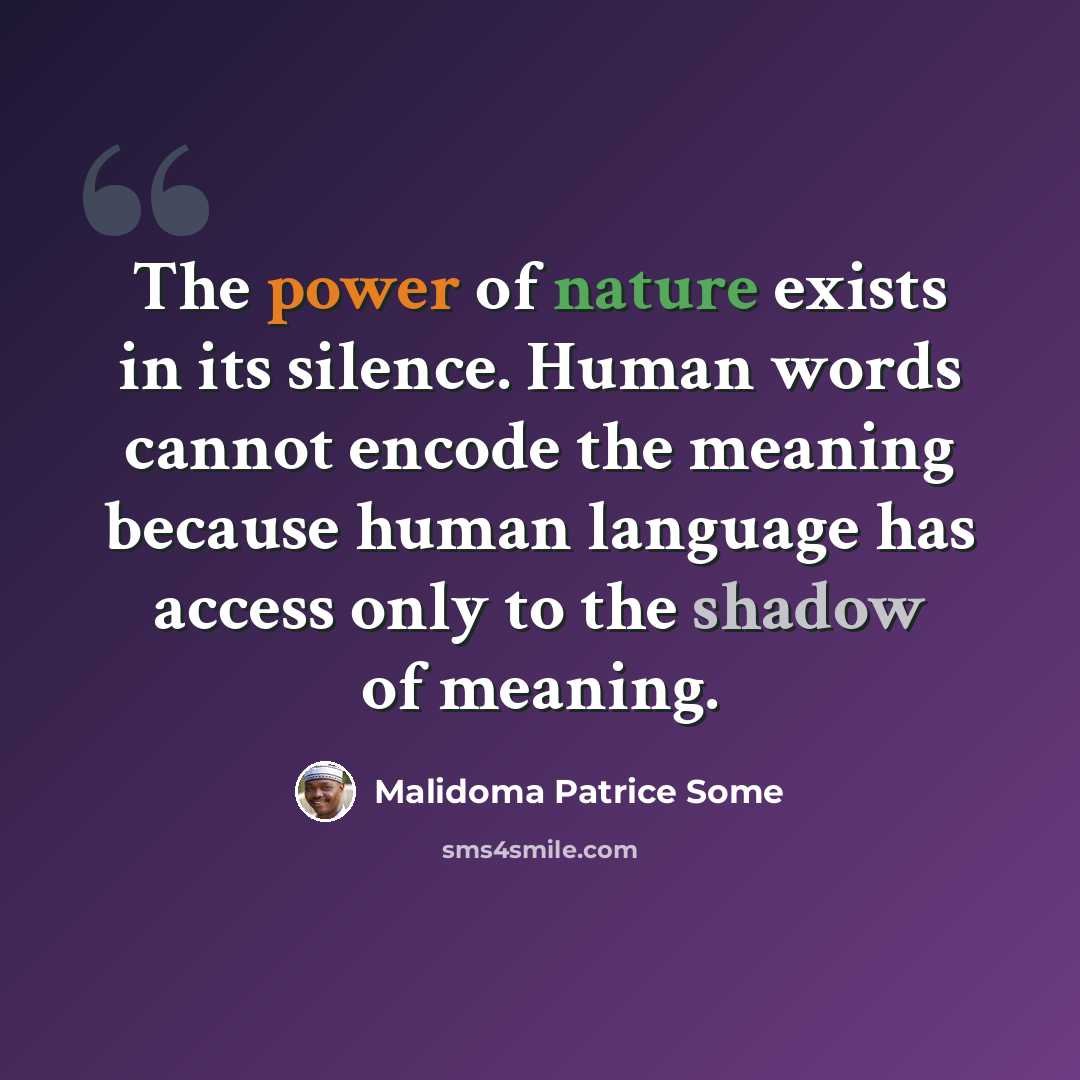 “The power of nature exists in its silence. Human words cannot encode the meaning because human language has access only to the shadow of meaning.” quote by Malidoma Patrice Some