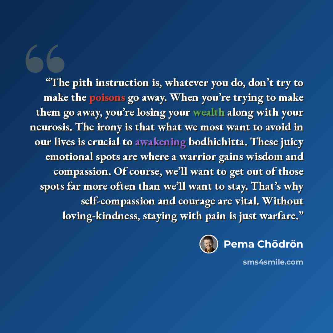 “The pith instruction is, whatever you do, don’t try to make the poisons go away. When you’re trying to make them go away, you’re losing your wealth along with your neurosis. The irony is that what we most want to avoid in our lives is crucial to awakening bodhichitta. These juicy emotional spots…” quote by Pema Chödrön