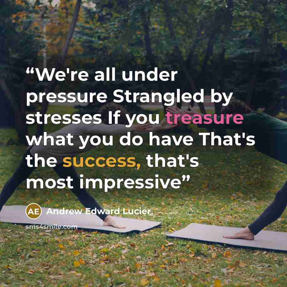 “We're all under pressure Strangled by stresses If you treasure what you do have That's the success, that's most impressive” quote by Andrew Edward Lucier