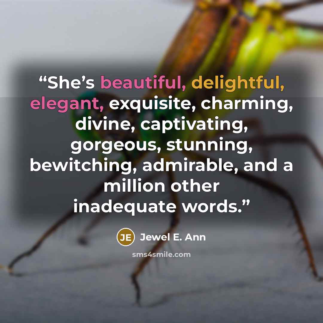 “She’s beautiful, delightful, elegant, exquisite, charming, divine, captivating, gorgeous, stunning, bewitching, admirable, and a million other inadequate words.” quote by Jewel E. Ann