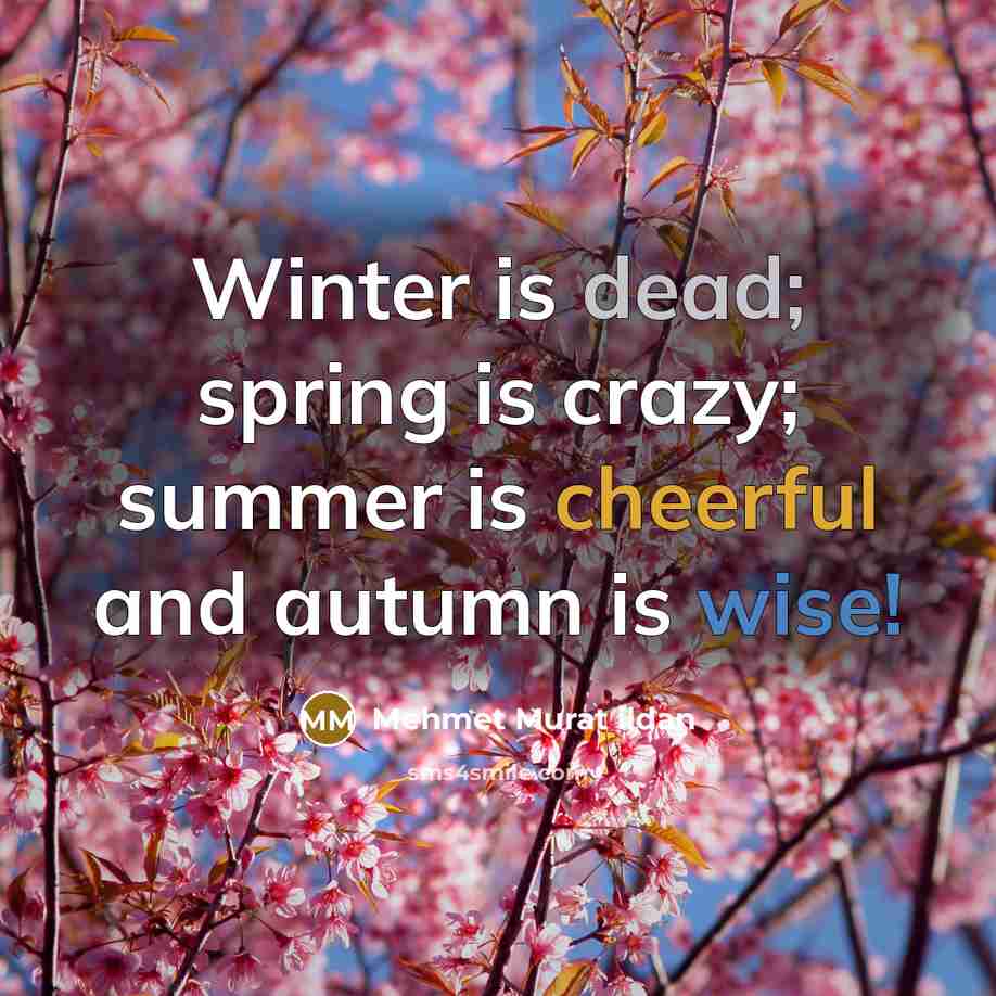 “Winter is dead; spring is crazy; summer is cheerful and autumn is wise!” quote by Mehmet Murat Ildan
