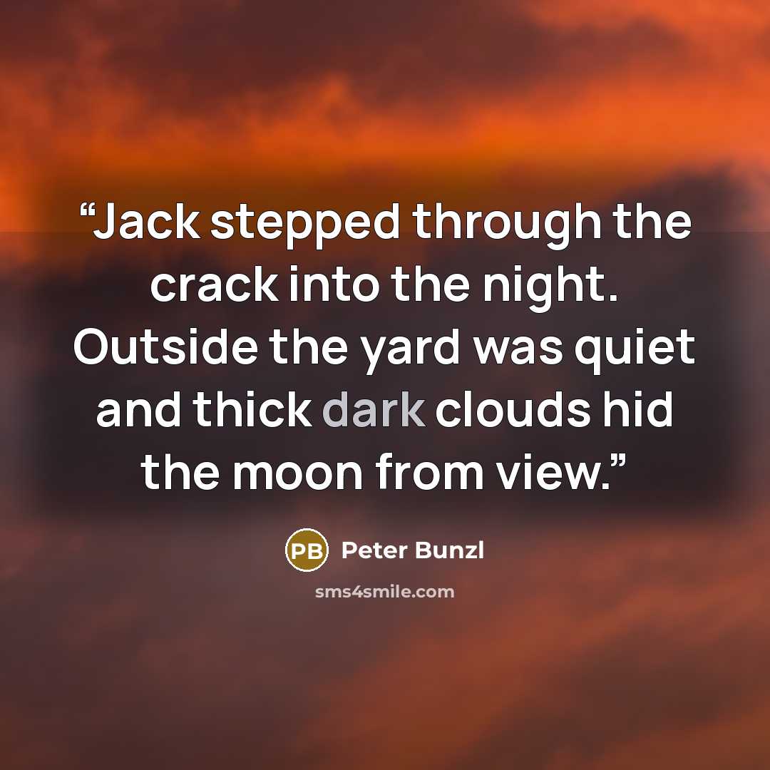 “Jack stepped through the crack into the night. Outside the yard was quiet and thick dark clouds hid the moon from view.” quote by Peter Bunzl