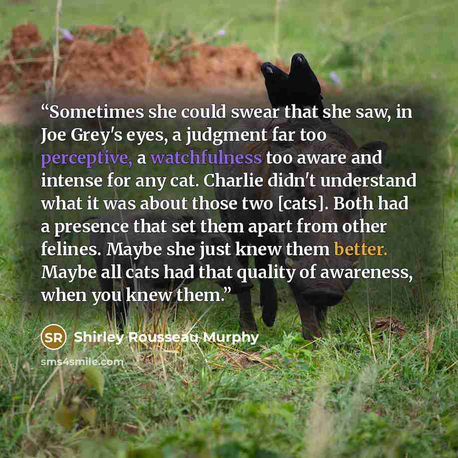 “Sometimes she could swear that she saw, in Joe Grey's eyes, a judgment far too perceptive, a watchfulness too aware and intense for any cat. Charlie didn't understand what it was about those two [cats]. Both had a presence that set them apart from other felines. Maybe she just knew them better…” quote by Shirley Rousseau Murphy