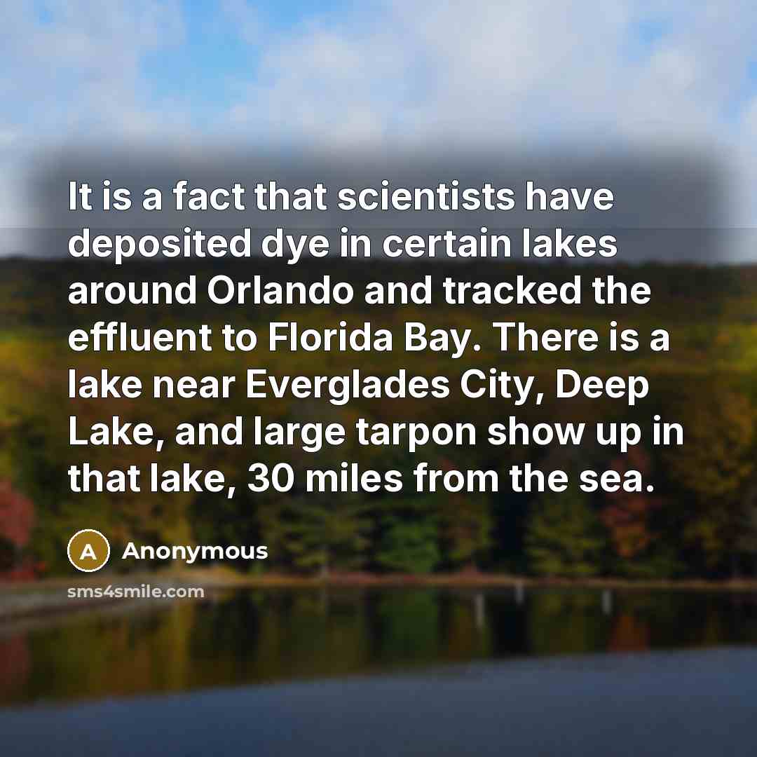 “It is a fact that scientists have deposited dye in certain lakes around Orlando and tracked the effluent to Florida Bay. There is a lake near Everglades City, Deep Lake, and large tarpon show up in that lake, 30 miles from the sea.” quote by Anonymous