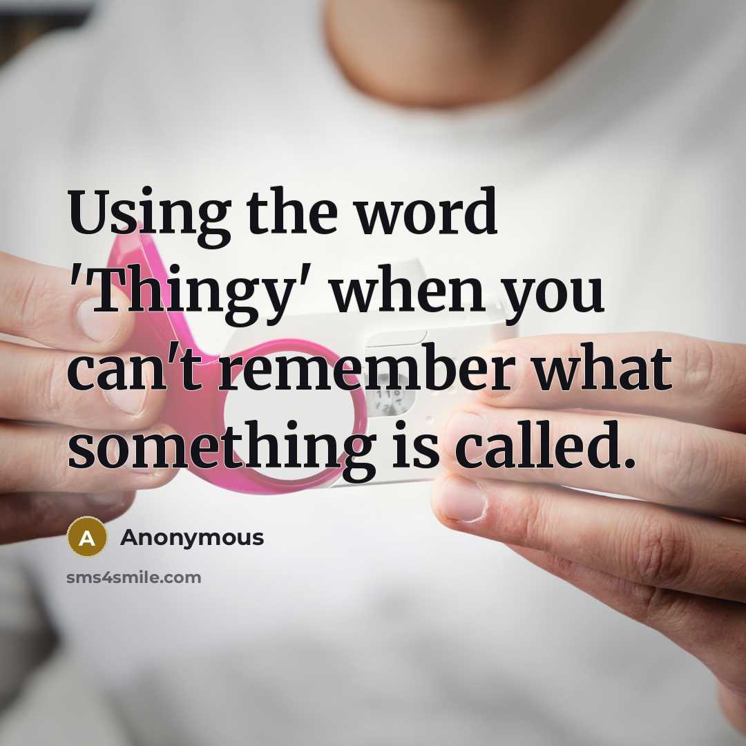 “Using the word 'Thingy' when you can't remember what something is called.” quote by Anonymous