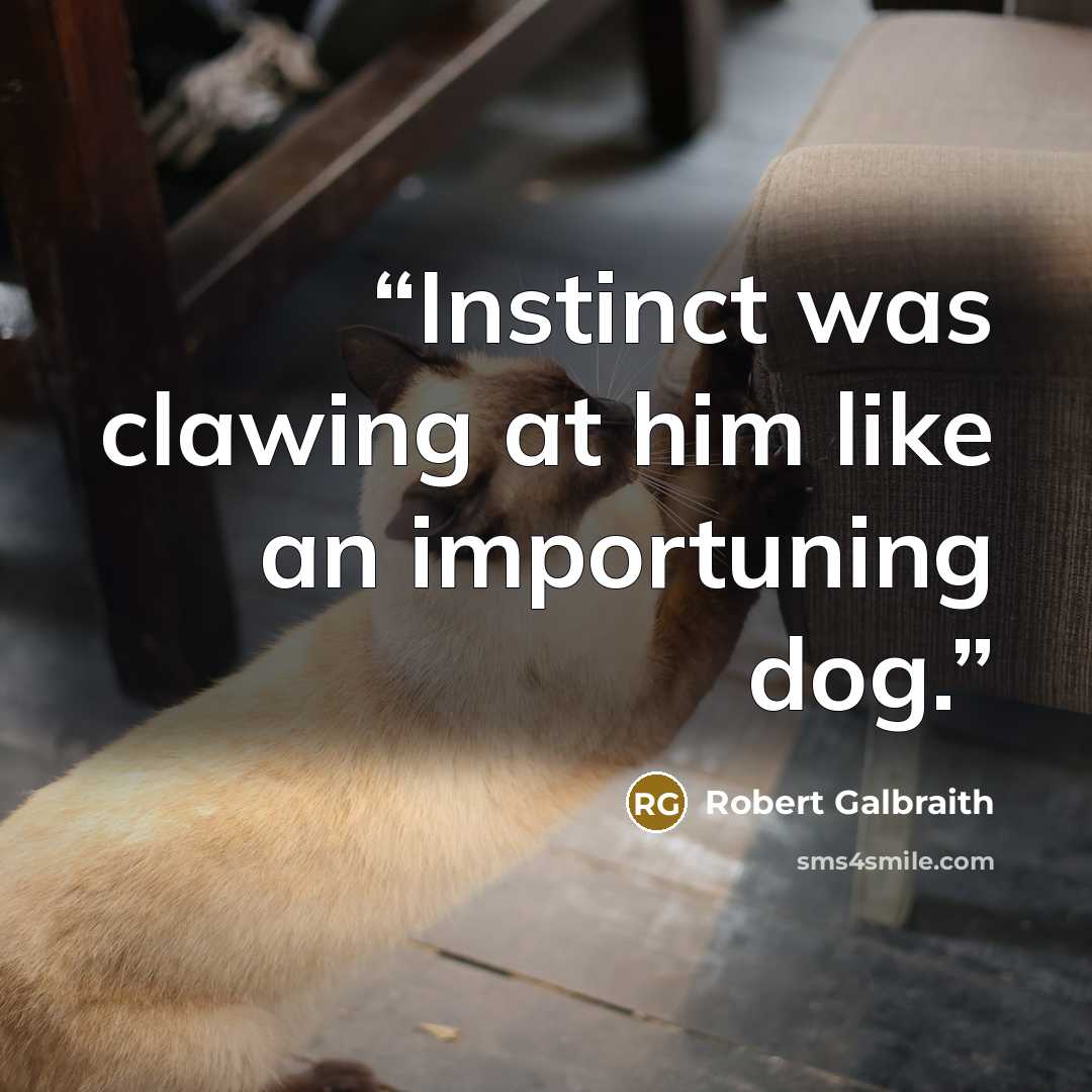 “Instinct was clawing at him like an importuning dog.” quote by Robert Galbraith