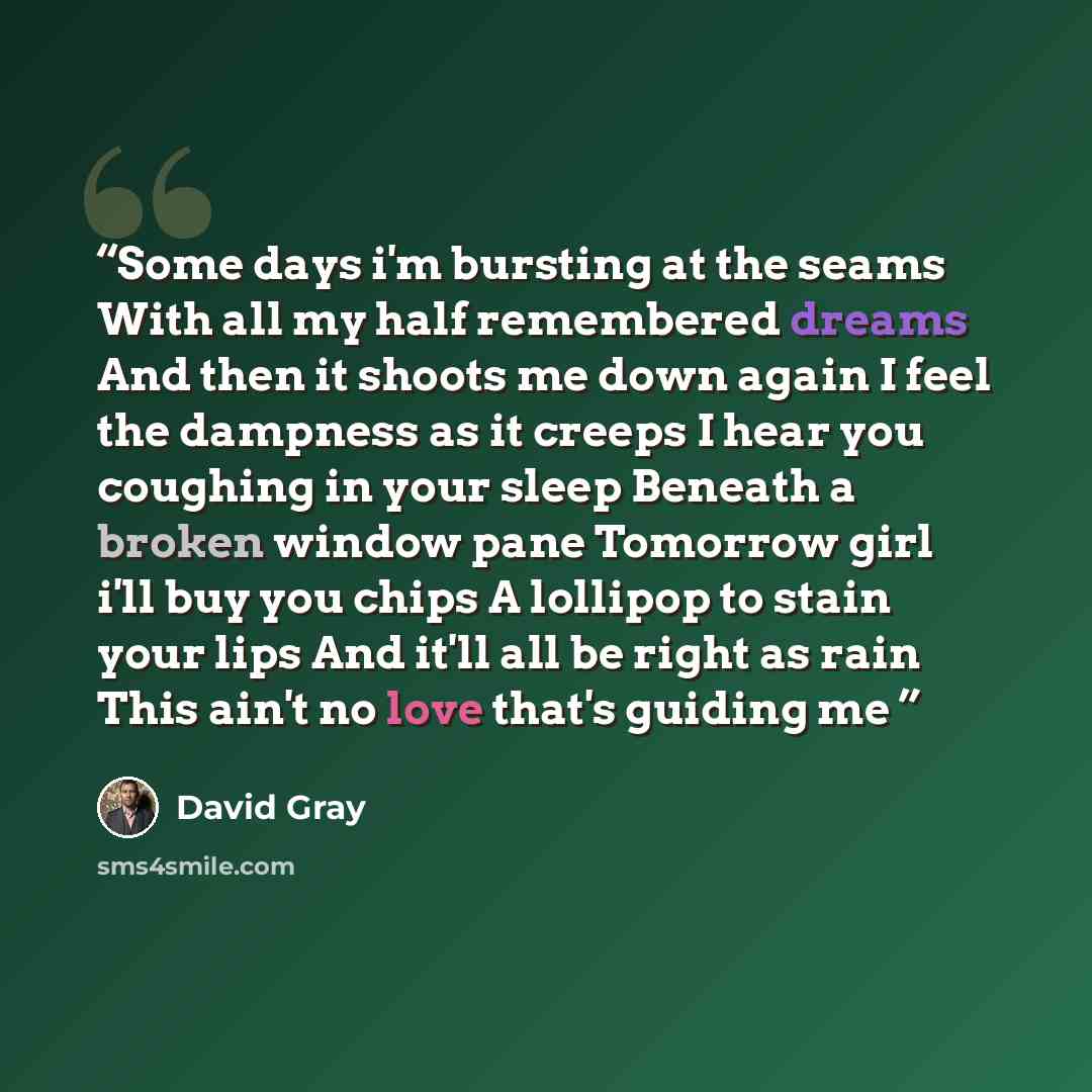 “Some days i'm bursting at the seams With all my half remembered dreams And then it shoots me down again I feel the dampness as it creeps I hear you coughing in your sleep Beneath a broken window pane Tomorrow girl i'll buy you chips A lollipop to stain your lips And it'll all be right as rain This…” quote by David Gray