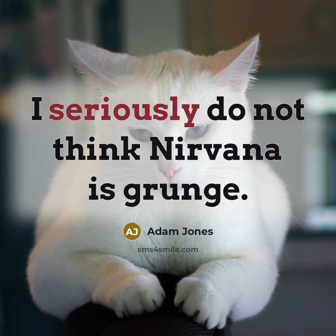“I seriously do not think Nirvana is grunge.” quote by Adam Jones