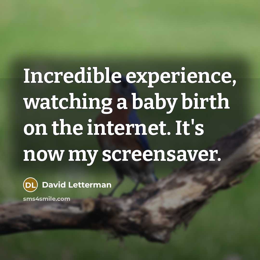 “Incredible experience, watching a baby birth on the internet. It's now my screensaver.” quote by David Letterman