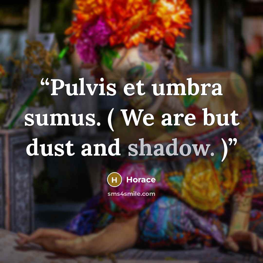 “Pulvis et umbra sumus. ( We are but dust and shadow. )” quote by Horace