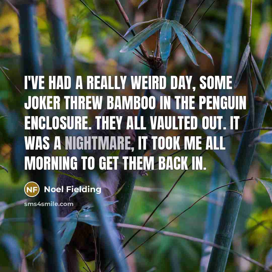 “I've had a really weird day, some joker threw bamboo in the penguin enclosure. They all vaulted out. It was a nightmare, it took me all morning to get them back in.” quote by Noel Fielding
