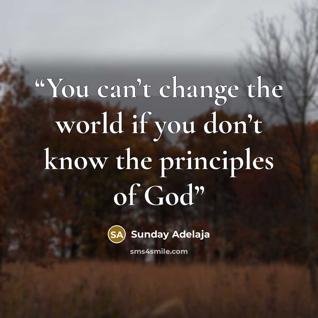 “You can’t change the world if you don’t know the principles of God” quote by Sunday Adelaja