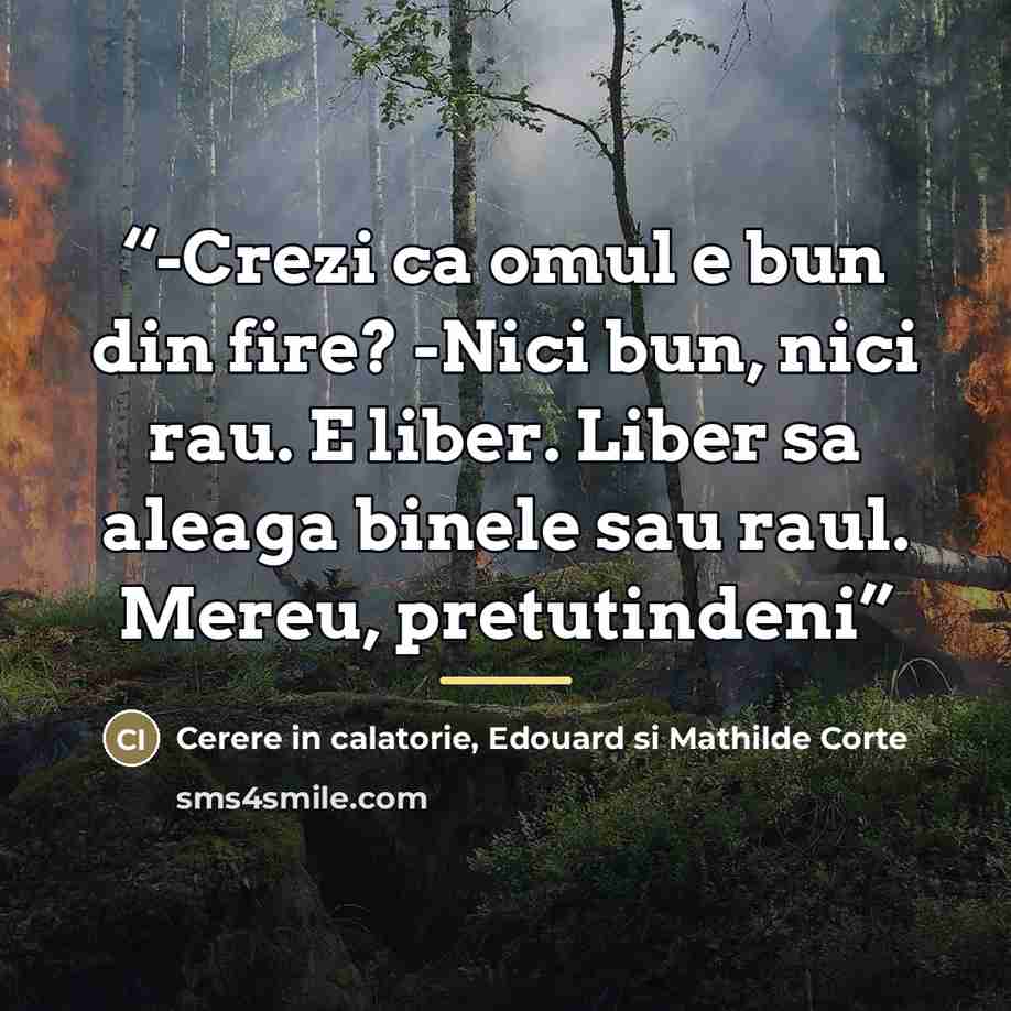 “-Crezi ca omul e bun din fire? -Nici bun, nici rau. E liber. Liber sa aleaga binele sau raul. Mereu, pretutindeni” quote by Edouard si Mathilde Corte Cerere in calatorie