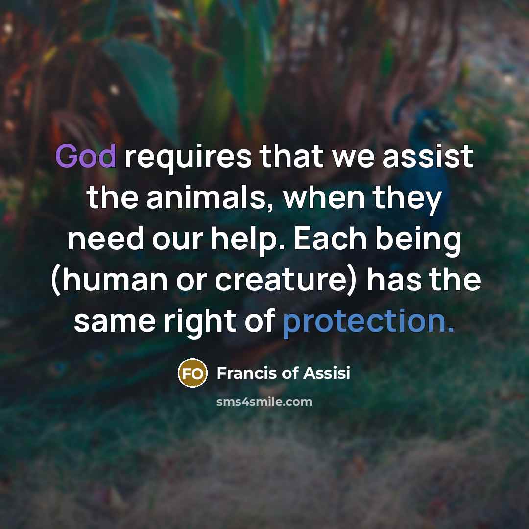 “God requires that we assist the animals, when they need our help. Each being (human or creature) has the same right of protection.” quote by Francis of Assisi