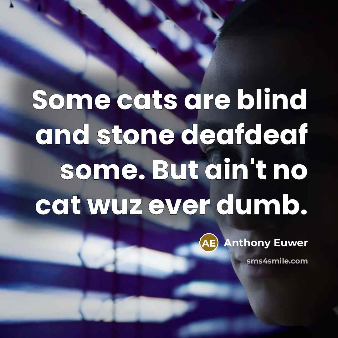 “Some cats are blind and stone deafdeaf some. But ain't no cat wuz ever dumb.” quote by Anthony Euwer