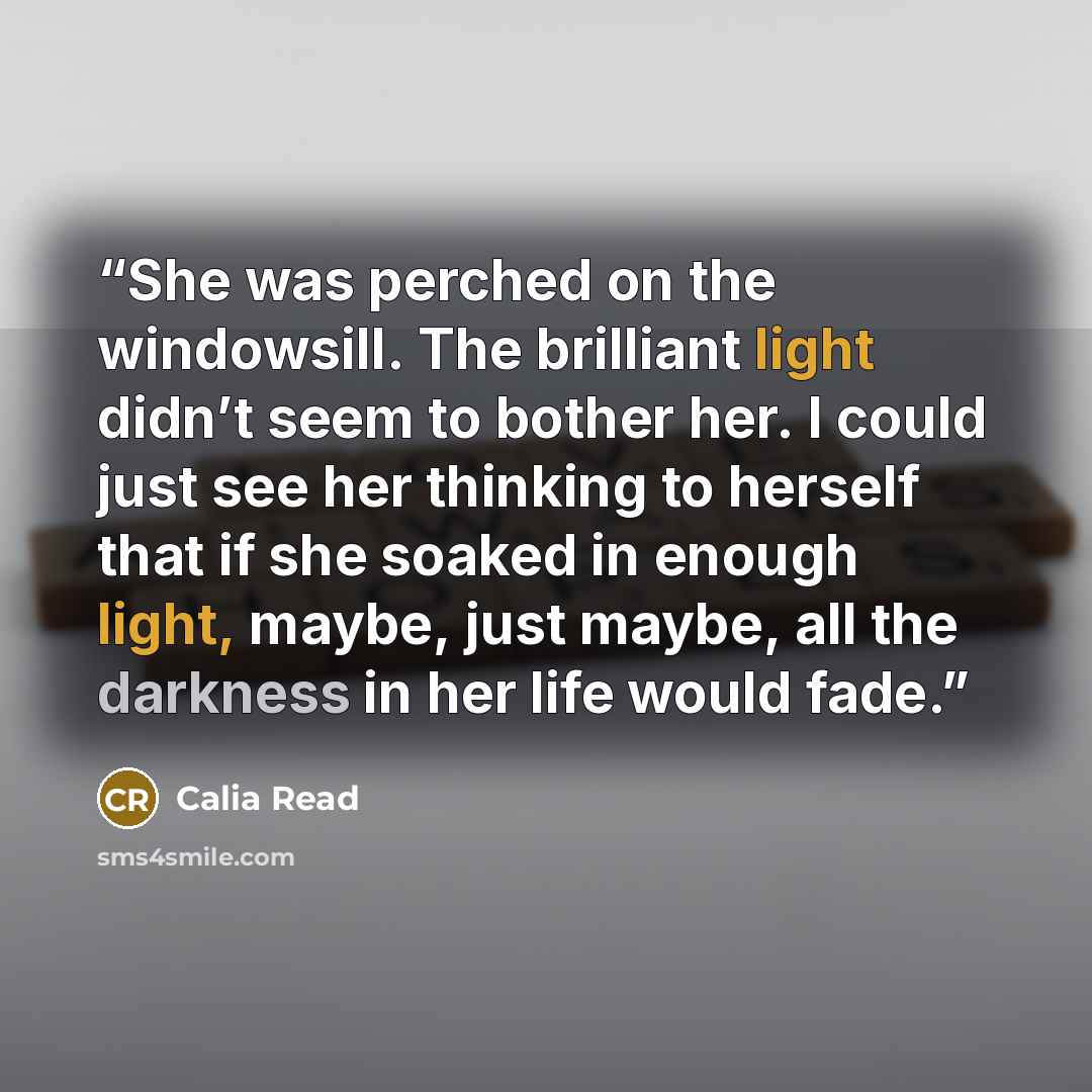 “She was perched on the windowsill. The brilliant light didn’t seem to bother her. I could just see her thinking to herself that if she soaked in enough light, maybe, just maybe, all the darkness in her life would fade.” quote by Calia Read