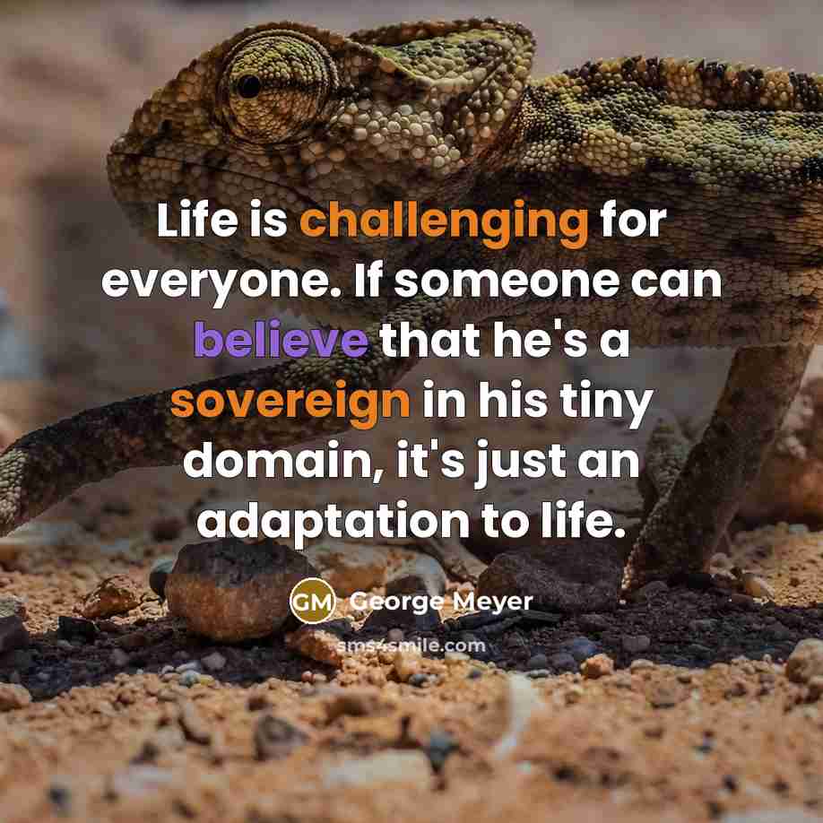 “Life is challenging for everyone. If someone can believe that he's a sovereign in his tiny domain, it's just an adaptation to life.” quote by George Meyer