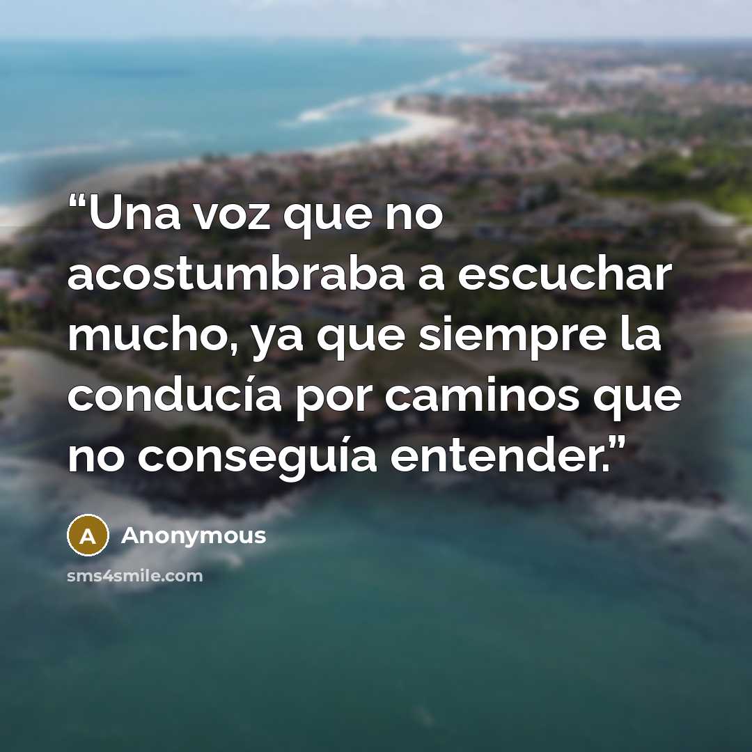“Una voz que no acostumbraba a escuchar mucho, ya que siempre la conducía por caminos que no conseguía entender.” quote by Anonymous