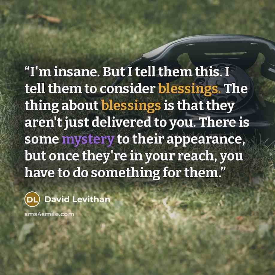 “I'm insane. But I tell them this. I tell them to consider blessings. The thing about blessings is that they aren't just delivered to you. There is some mystery to their appearance, but once they're in your reach, you have to do something for them.” quote by David Levithan