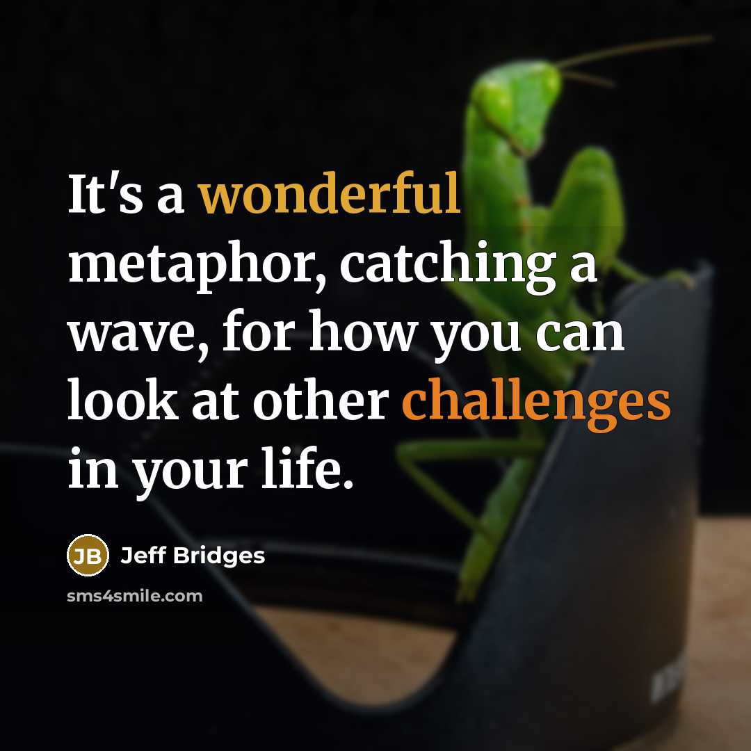 “It's a wonderful metaphor, catching a wave, for how you can look at other challenges in your life.” quote by Jeff Bridges