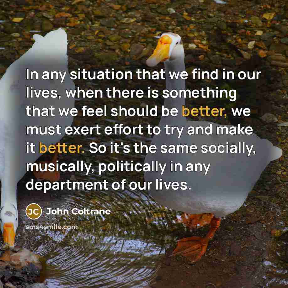 “In any situation that we find in our lives, when there is something that we feel should be better, we must exert effort to try and make it better. So it's the same socially, musically, politically in any department of our lives.” quote by John Coltrane
