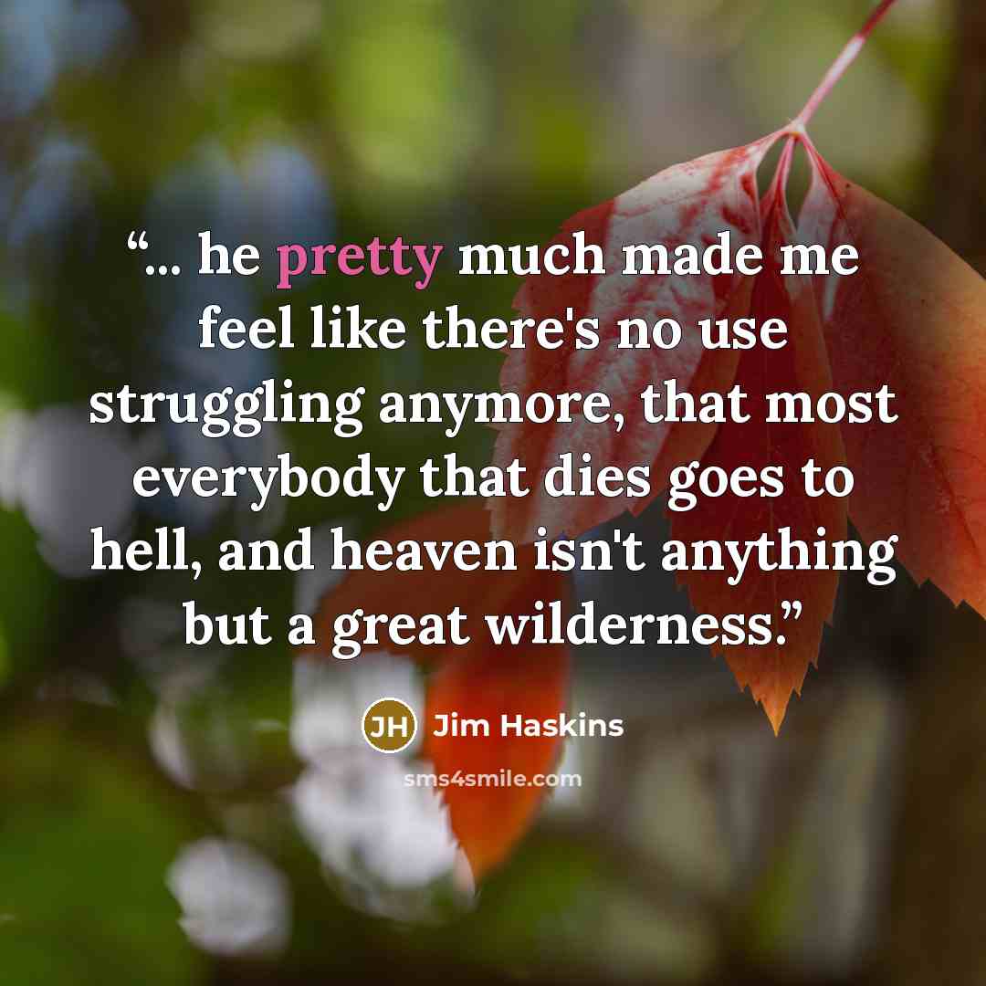 “... he pretty much made me feel like there's no use struggling anymore, that most everybody that dies goes to hell, and heaven isn't anything but a great wilderness.” quote by Jim Haskins