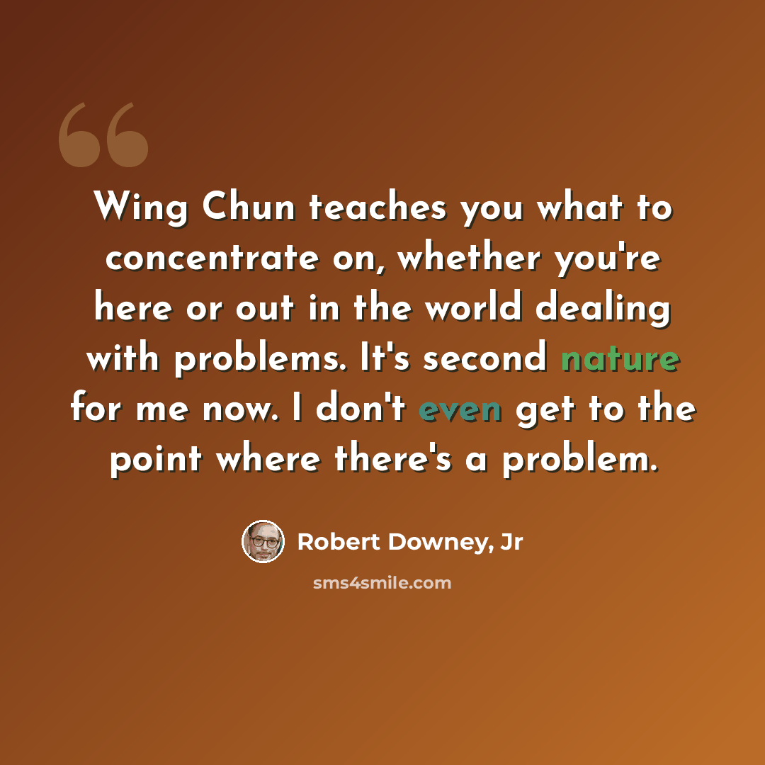 “Wing Chun teaches you what to concentrate on, whether you're here or out in the world dealing with problems. It's second nature for me now. I don't even get to the point where there's a problem.” quote by Robert Downey, Jr