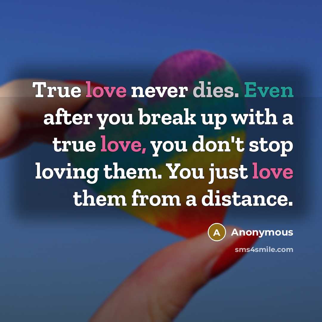 “True love never dies. Even after you break up with a true love, you don't stop loving them. You just love them from a distance.” quote by Anonymous