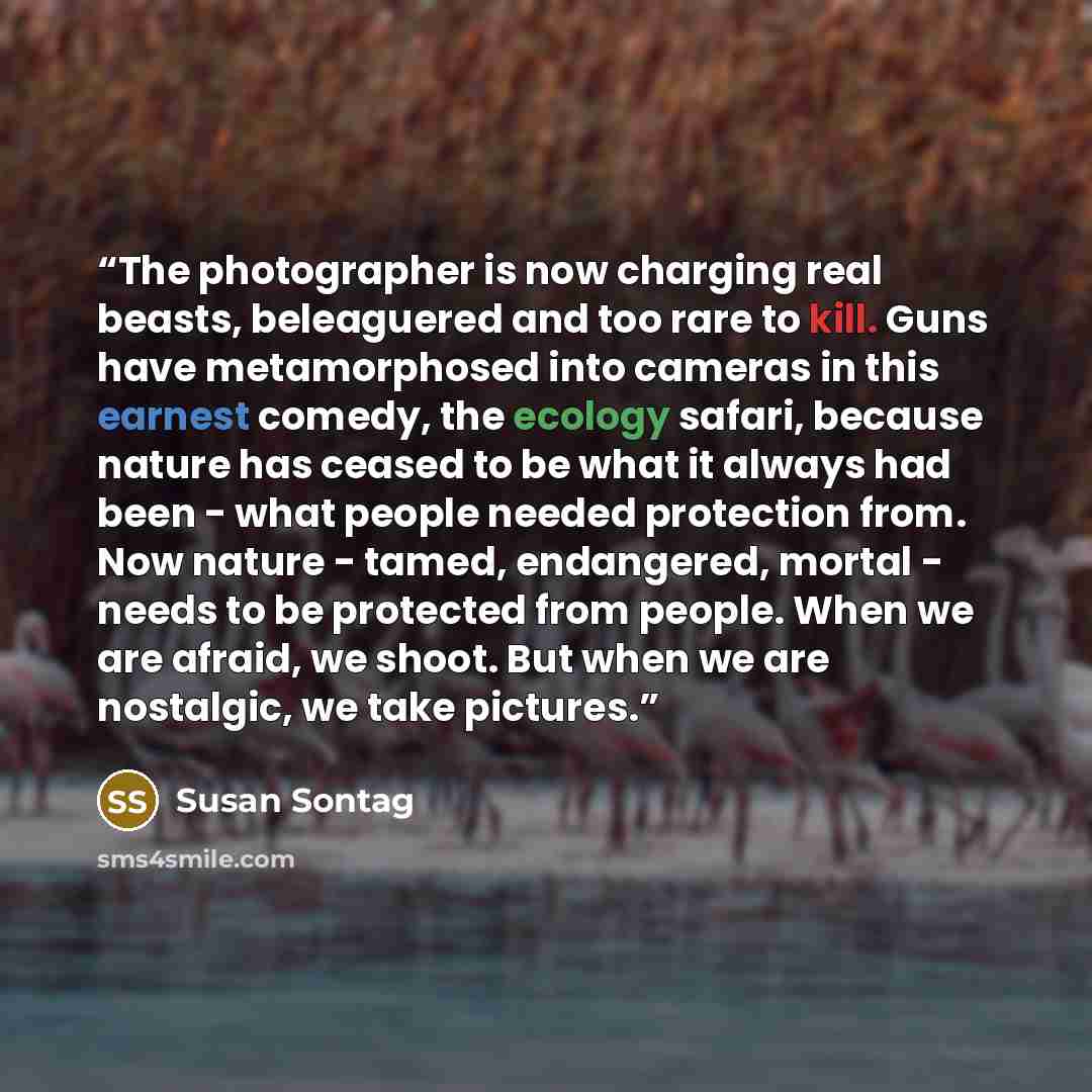 “The photographer is now charging real beasts, beleaguered and too rare to kill. Guns have metamorphosed into cameras in this earnest comedy, the ecology safari, because nature has ceased to be what it always had been - what people needed protection from. Now nature - tamed, endangered, mortal…” quote by Susan Sontag