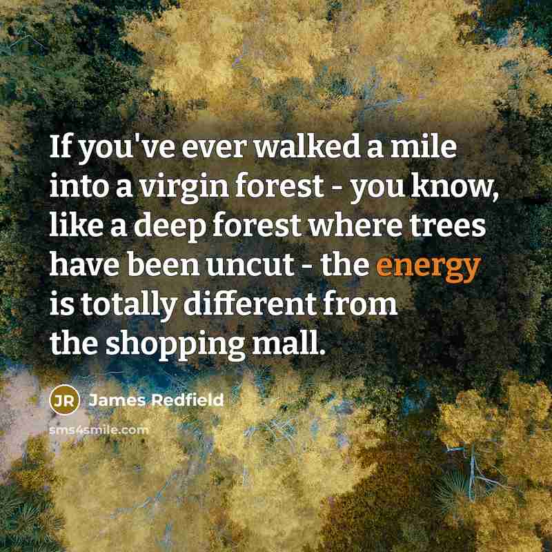 “If you've ever walked a mile into a virgin forest - you know, like a deep forest where trees have been uncut - the energy is totally different from the shopping mall.” quote by James Redfield