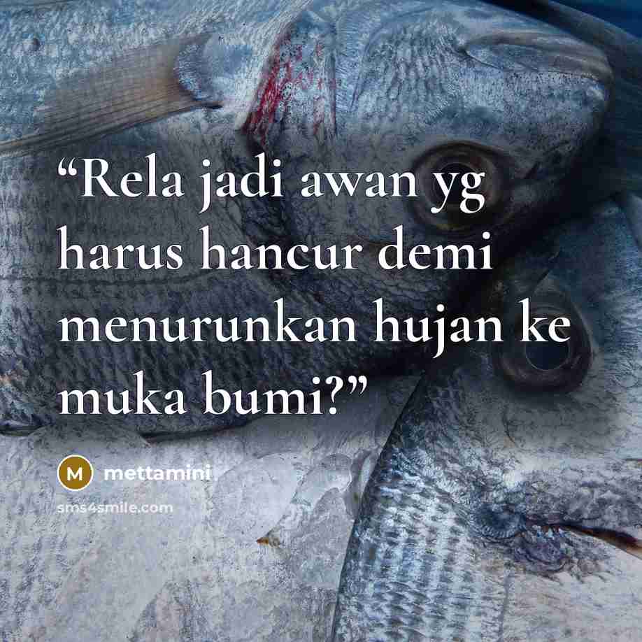 “Rela jadi awan yg harus hancur demi menurunkan hujan ke muka bumi?” quote by mettamini