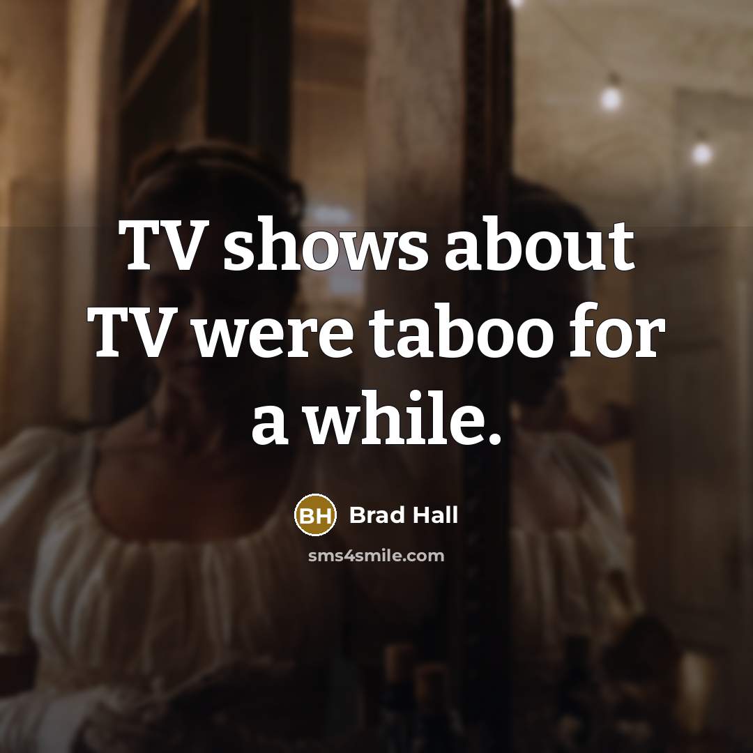 “TV shows about TV were taboo for a while.” quote by Brad Hall