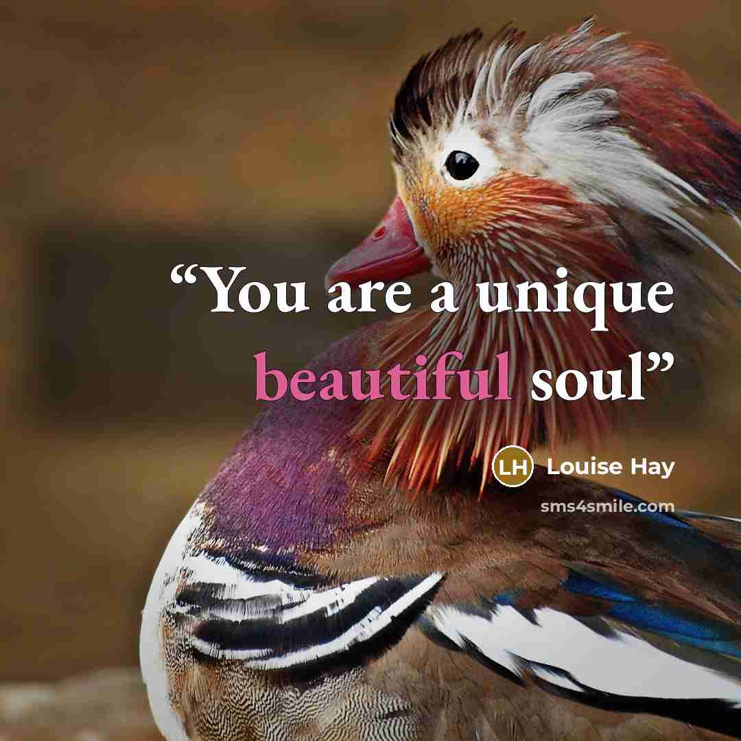 “You are a unique beautiful soul” quote by Louise Hay