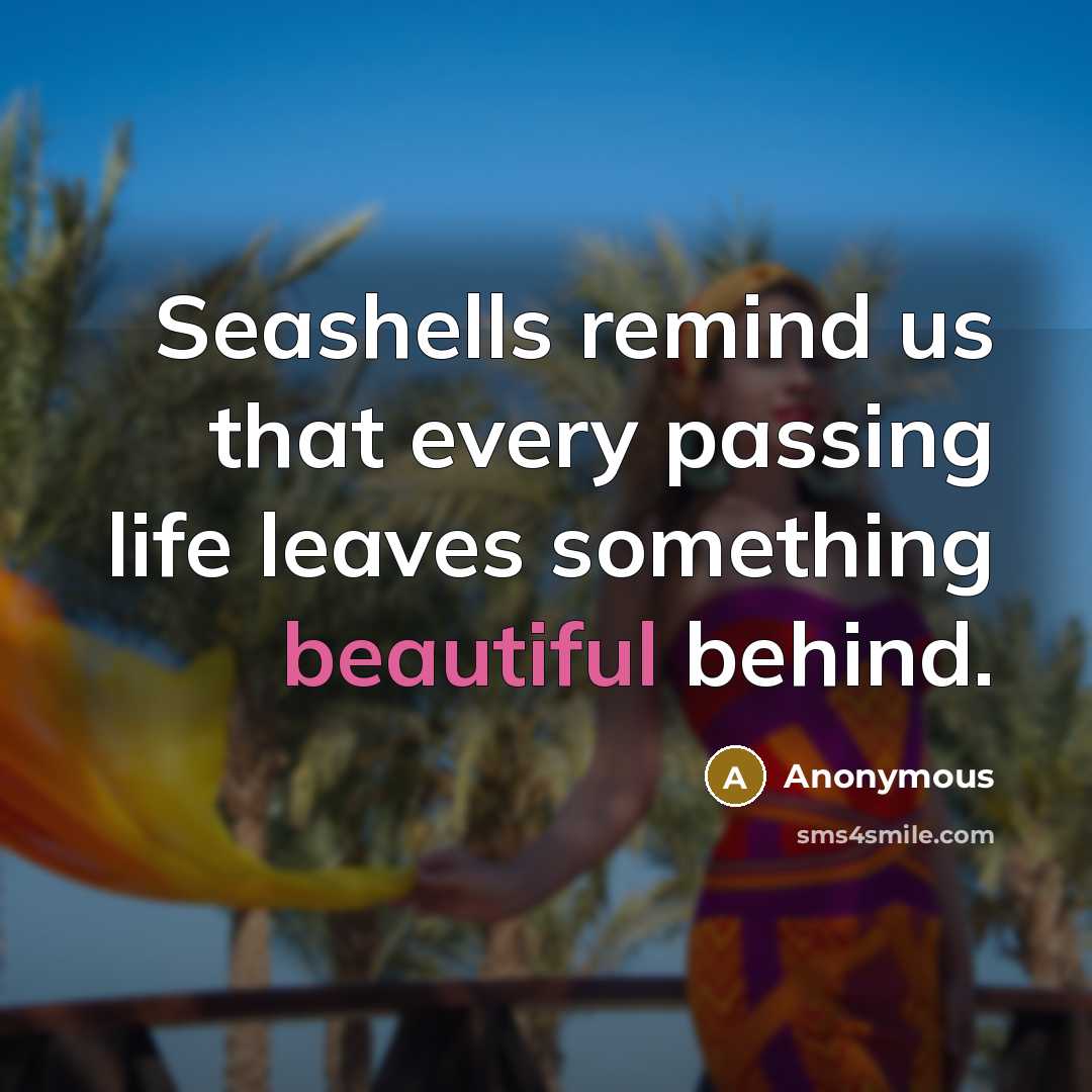 “Seashells remind us that every passing life leaves something beautiful behind.” quote by Anonymous
