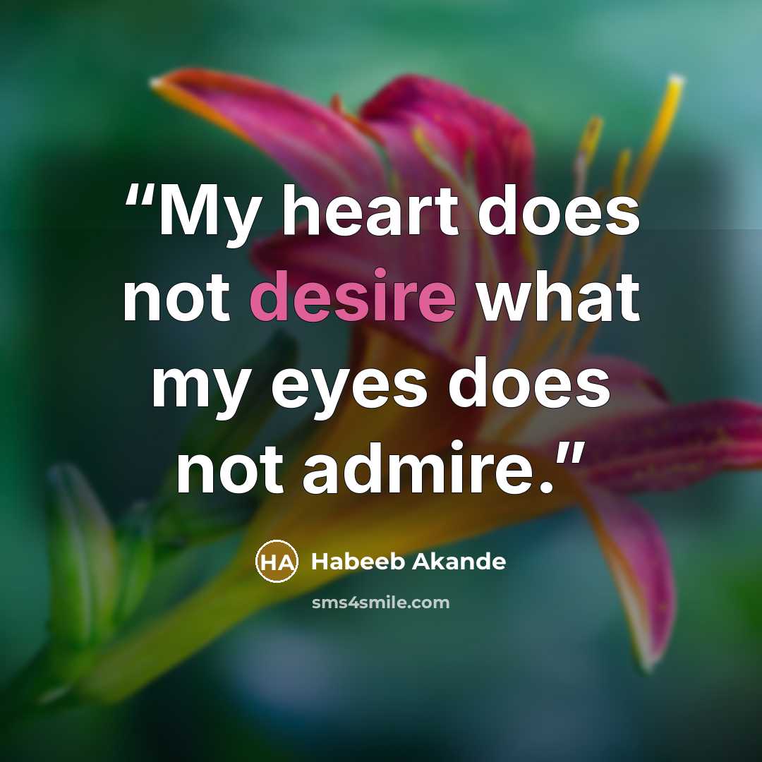 “My heart does not desire what my eyes does not admire.” quote by Habeeb Akande