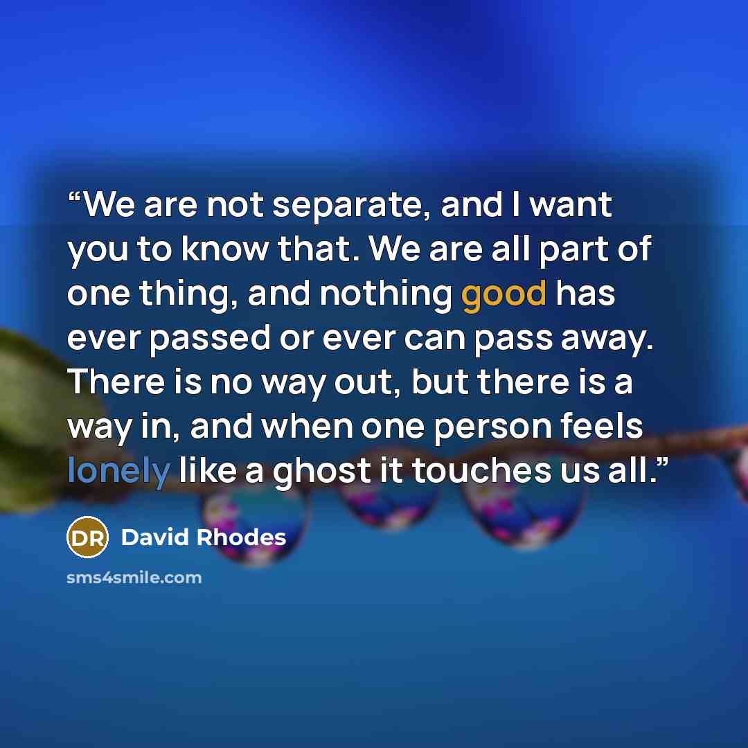“We are not separate, and I want you to know that. We are all part of one thing, and nothing good has ever passed or ever can pass away. There is no way out, but there is a way in, and when one person feels lonely like a ghost it touches us all.” quote by David Rhodes